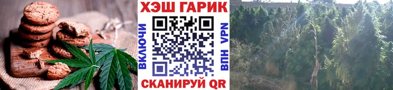 мега tor  Мещовск  Печенье с ТГК марихуана  купить  