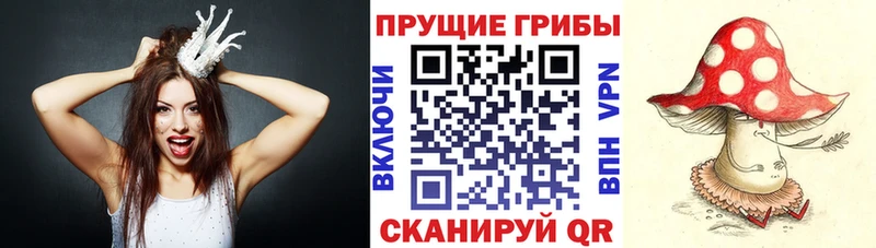 кракен ссылки  Мещовск  Псилоцибиновые грибы прущие грибы 